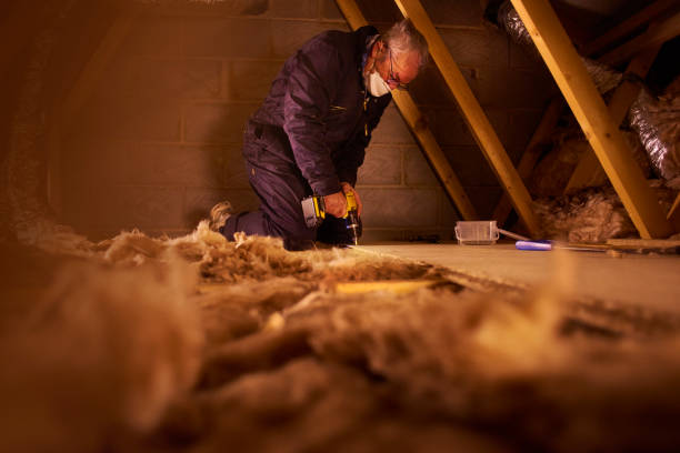 Best Insulation Replacement Services  in New Egypt, NJ